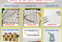 thay sung máy triệt lông tại quận 1 